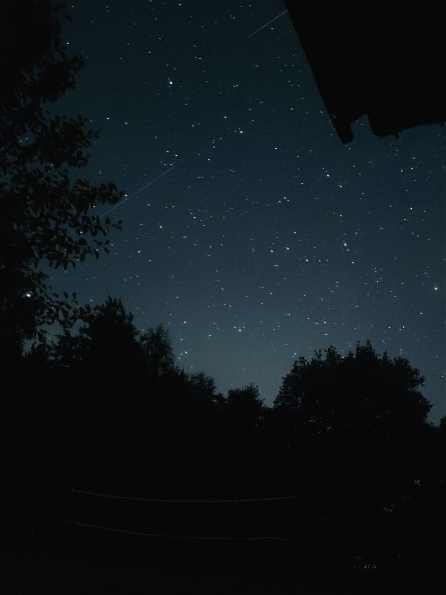 фото для АН август