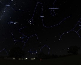 фото для АН октябрь