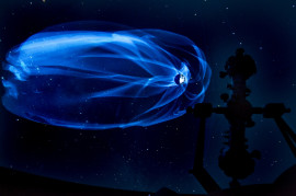 На обложку (4) На обложку (4)