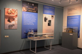 На обложку (5)